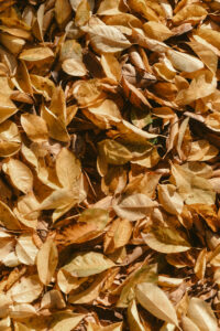 On Holding Space For What Is Not Me