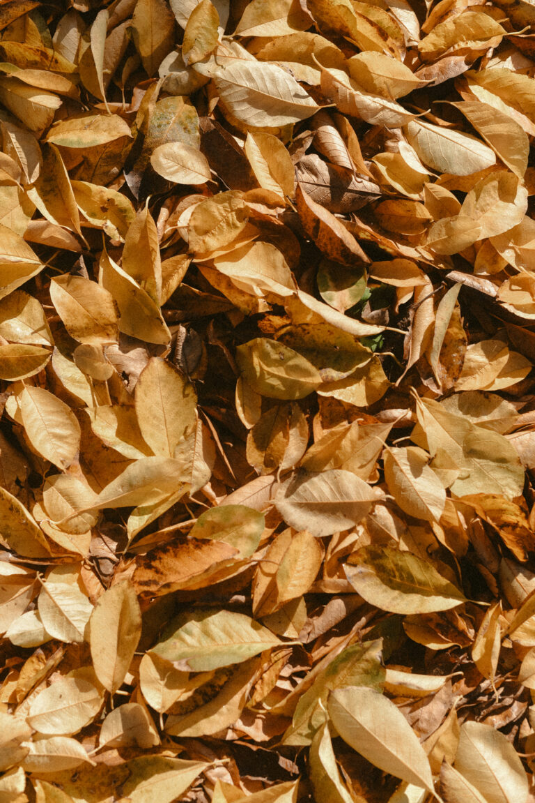 On Holding Space For What Is Not Me